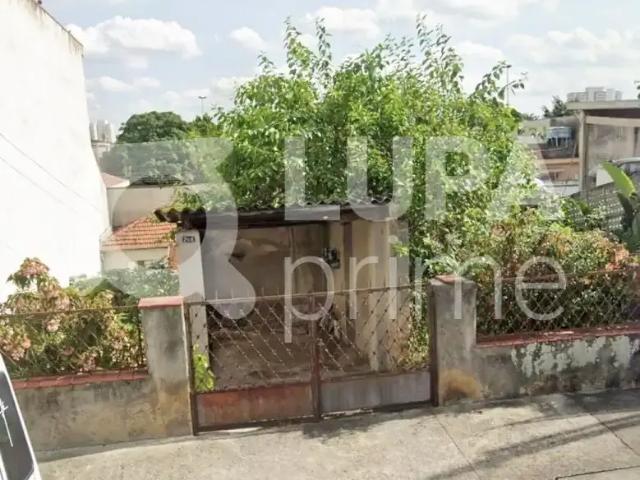 Terreno / Lote para Venda em São Paulo/SP Vila Guilherme
