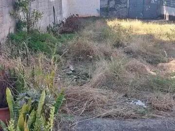 Terreno / Lote para Venda em São Paulo/SP Vila Guilherme