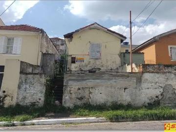 Terreno / Lote para Venda em São Paulo/SP Vila Guilherme