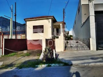 Terreno / Lote para Venda em São Paulo/SP Vila Guilherme