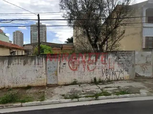 Terreno / Lote para Venda em São Paulo/SP Vila Guilherme