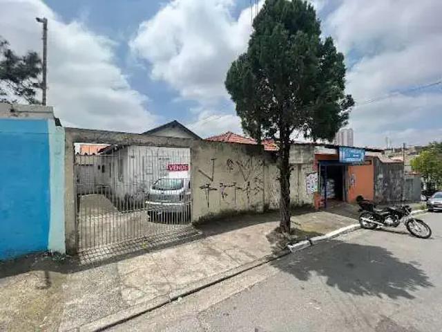 Terreno / Lote para Venda em São Paulo/SP Vila Guilhermina