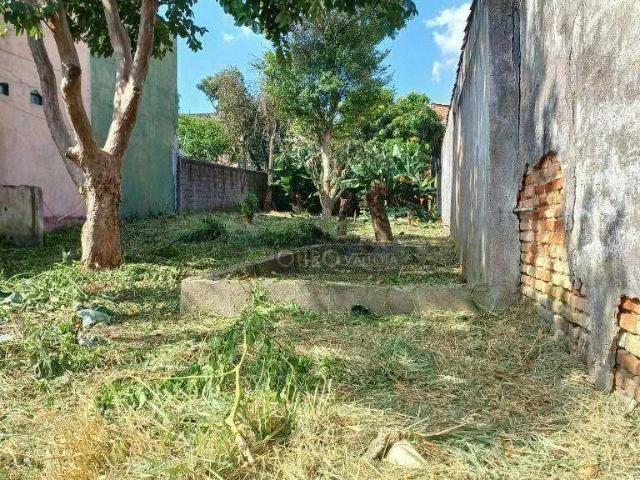 Terreno / Lote para Venda em São Paulo/SP Vila Guilhermina