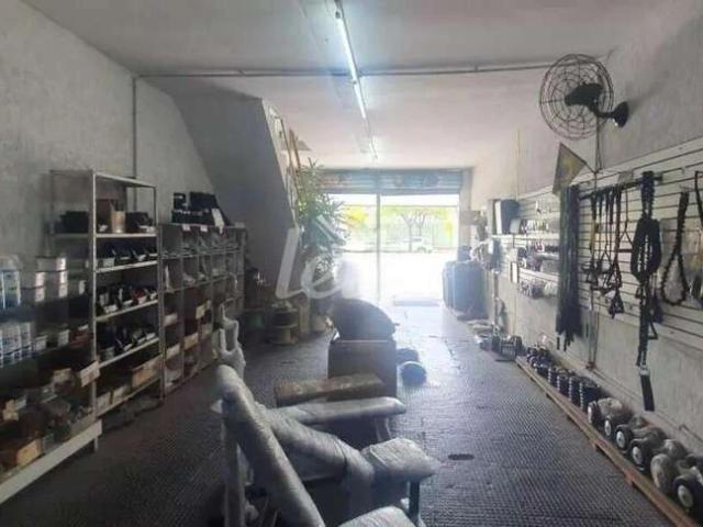 Terreno / Lote para Venda em São Paulo/SP Vila Guilhermina