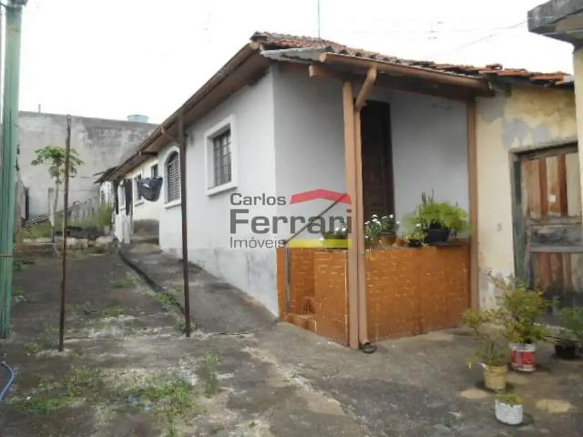 Terreno / Lote para Venda em São Paulo/SP Vila Gustavo