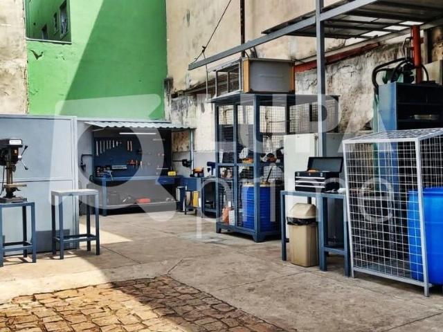 Terreno / Lote para Venda em São Paulo/SP Vila Gustavo