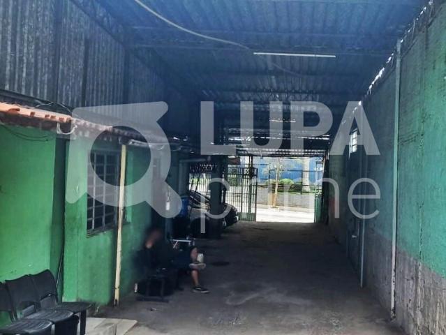 Terreno / Lote para Venda em São Paulo/SP Vila Gustavo