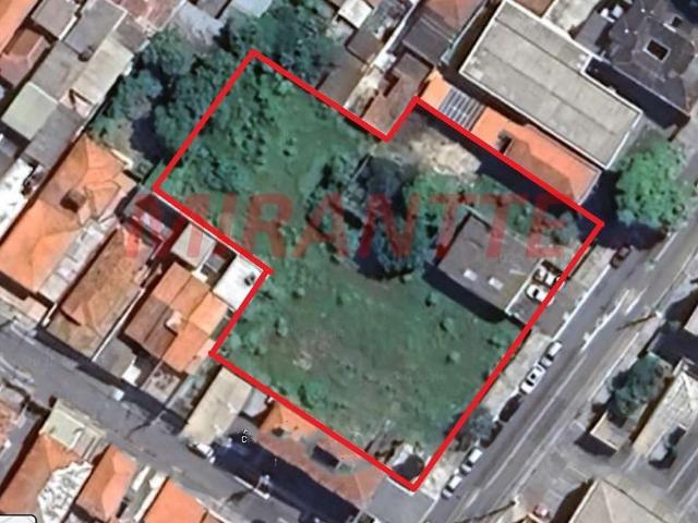 Terreno / Lote para Venda em São Paulo/SP Vila Gustavo