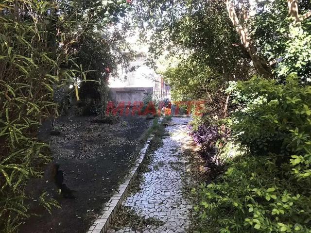 Terreno / Lote para Venda em São Paulo/SP Vila Gustavo