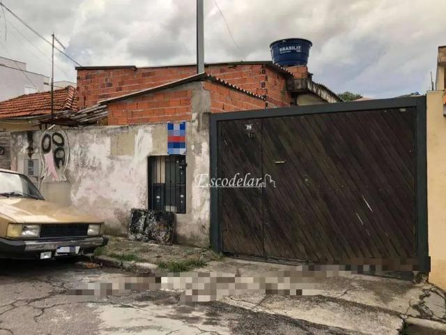 Terreno / Lote para Venda em São Paulo/SP Vila Gustavo