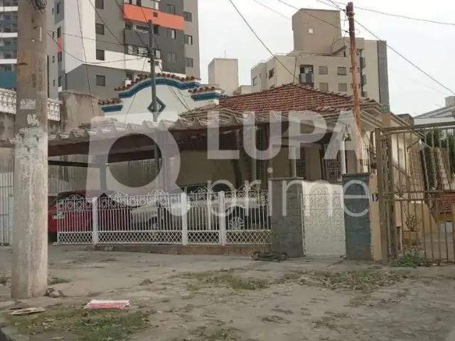 Terreno / Lote para Venda em São Paulo/SP Vila Gustavo