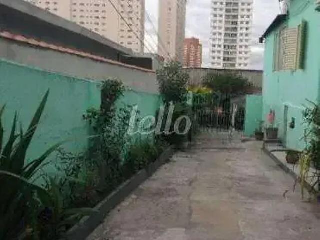 Terreno / Lote para Venda em São Paulo/SP Vila Gomes Cardim