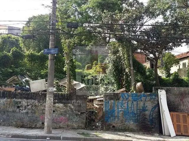 Terreno / Lote para Venda em São Paulo/SP Vila Gomes