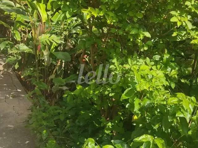 Terreno / Lote para Venda em São Paulo/SP Vila Granada