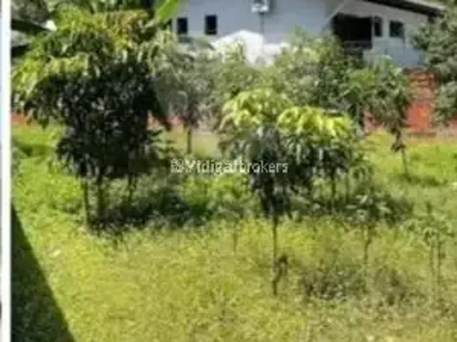 Terreno / Lote para Venda em São Paulo/SP Vila Hamburguesa