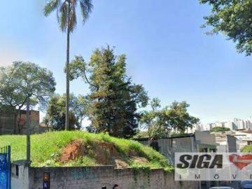 Terreno / Lote para Venda em São Paulo/SP Vila Ivone