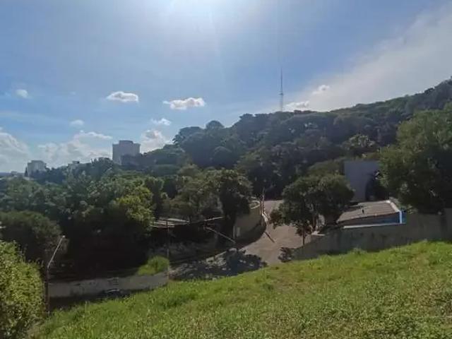 Terreno / Lote para Venda em São Paulo/SP Vila Ida
