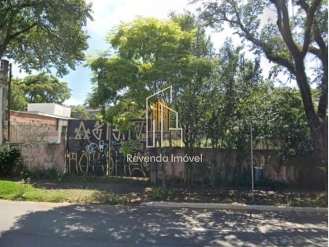 Terreno / Lote para Venda em São Paulo/SP Vila Ida