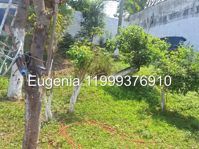 Terreno / Lote para Venda em São Paulo/SP Vila Indiana