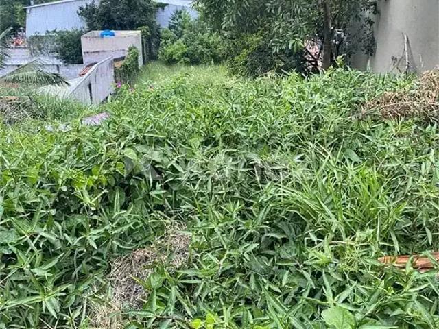 Terreno / Lote para Venda em São Paulo/SP Vila Indiana