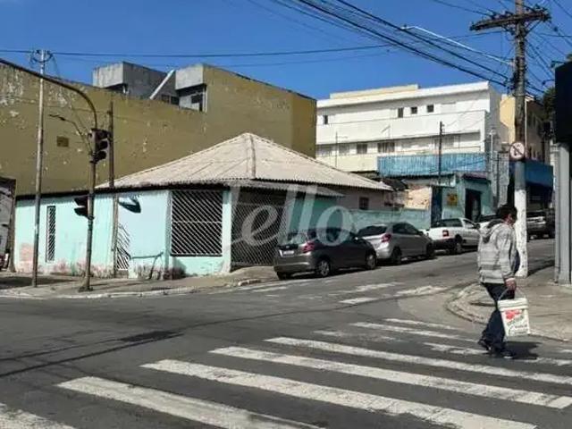 Terreno / Lote para Venda em São Paulo/SP Vila Invernada