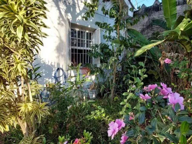 Terreno / Lote para Venda em São Paulo/SP Vila Invernada