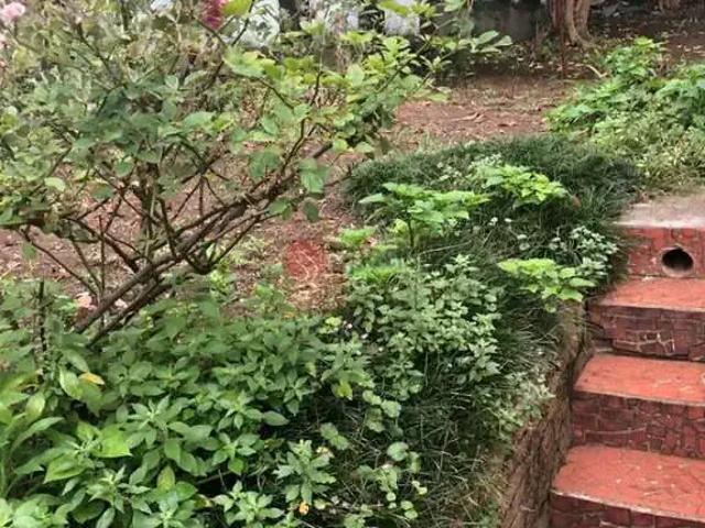 Terreno / Lote para Venda em São Paulo/SP Vila Invernada