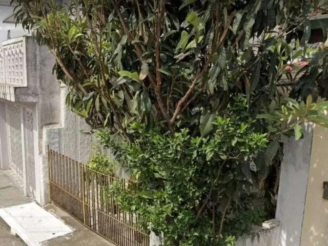 Terreno / Lote para Venda em São Paulo/SP Vila Invernada