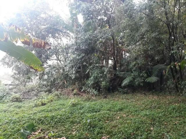 Terreno / Lote para Venda em São Paulo/SP Vila Irmãos Arnoni