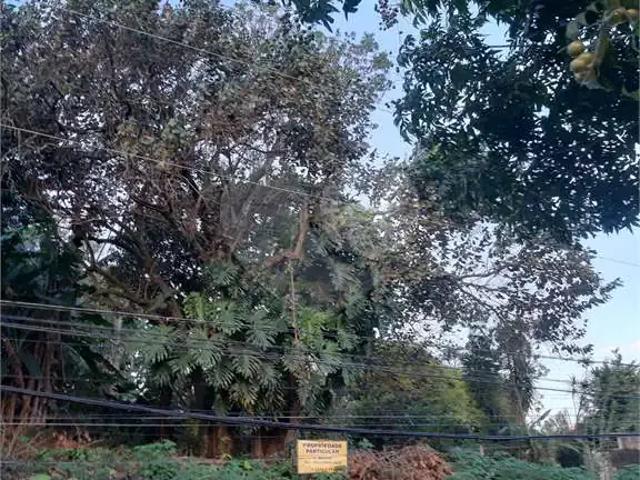 Terreno / Lote para Venda em São Paulo/SP Vila Irmãos Arnoni