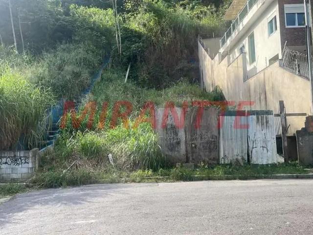Terreno / Lote para Venda em São Paulo/SP Vila Irmãos Arnoni