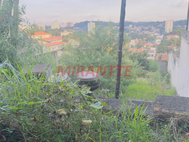 Terreno / Lote para Venda em São Paulo/SP Vila Irmãos Arnoni