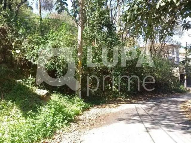 Terreno / Lote para Venda em São Paulo/SP Vila Irmãos Arnoni