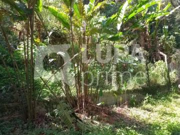 Terreno / Lote para Venda em São Paulo/SP Vila Irmãos Arnoni