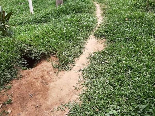 Terreno / Lote para Venda em São Paulo/SP Vila Irmãos Arnoni