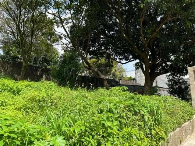 Terreno / Lote para Venda em São Paulo/SP Vila Irmãos Arnoni