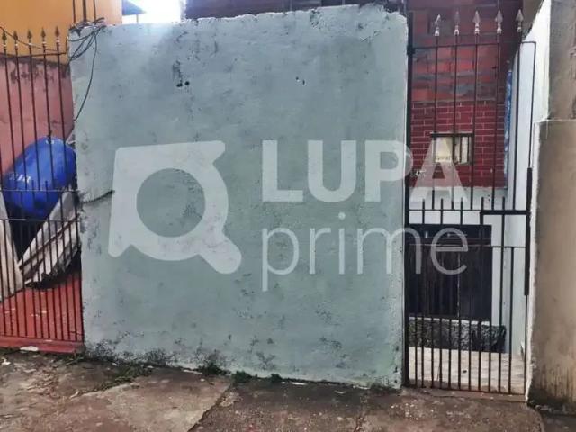 Terreno / Lote para Venda em São Paulo/SP Vila Isolina Mazzei