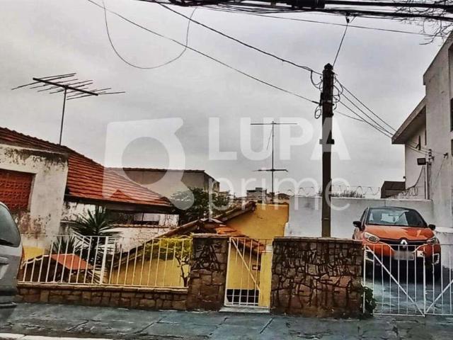 Terreno / Lote para Venda em São Paulo/SP Vila Isolina Mazzei