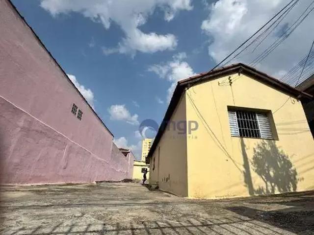 Terreno / Lote para Venda em São Paulo/SP Vila Isolina Mazzei