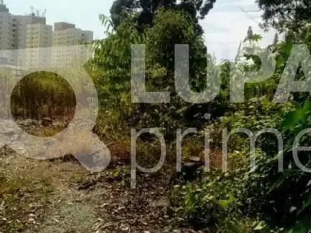Terreno / Lote para Venda em São Paulo/SP Vila Jaraguá
