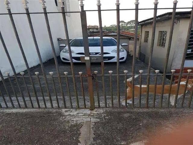 Terreno / Lote para Venda em São Paulo/SP Vila Lucia