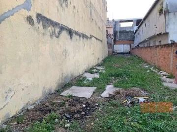 Terreno / Lote para Venda em São Paulo/SP Vila Lucia