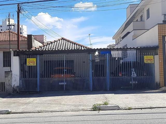 Terreno / Lote para Venda em São Paulo/SP Vila Lucia