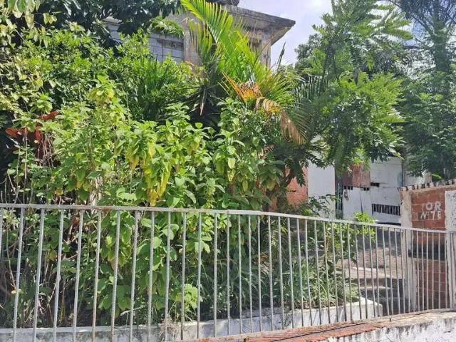 Terreno / Lote para Venda em São Paulo/SP Vila Londrina