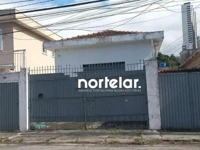 Terreno / Lote para Venda em São Paulo/SP Vila Palmeiras