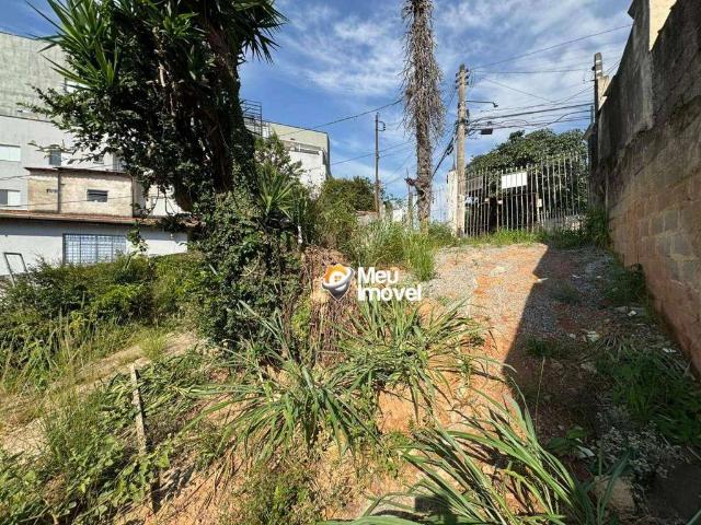 Terreno / Lote para Venda em São Paulo/SP Vila Palmeiras