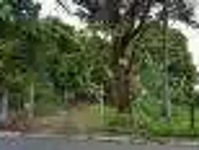Terreno / Lote para Venda em São Paulo/SP Vila Paranaguá