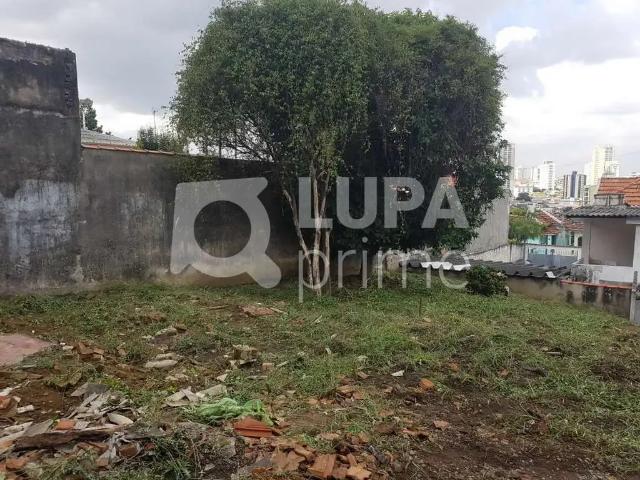 Terreno / Lote para Venda em São Paulo/SP Vila Paulicéia