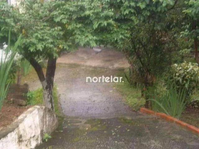 Terreno / Lote para Venda em São Paulo/SP Vila Pereira Cerca