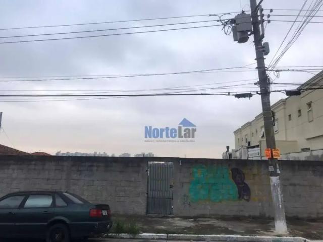 Terreno / Lote para Venda em São Paulo/SP Vila Pereira Barreto
